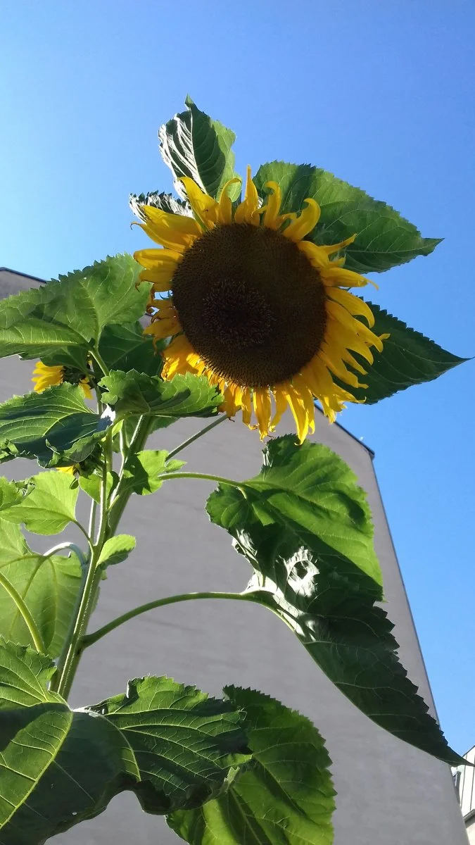20200903_100527.jpg
