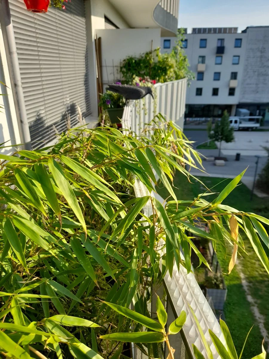 20200913_172328.jpg
