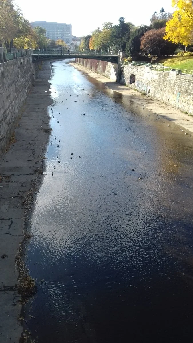 20201105_105415.jpg