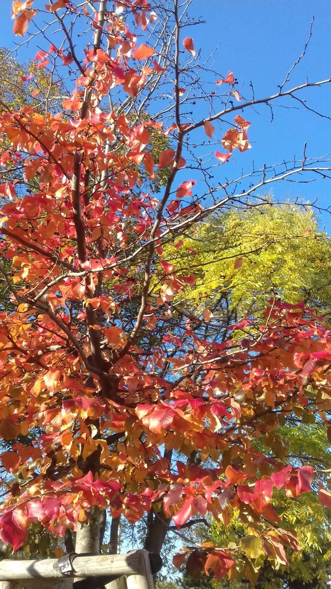 20201106_092638.jpg