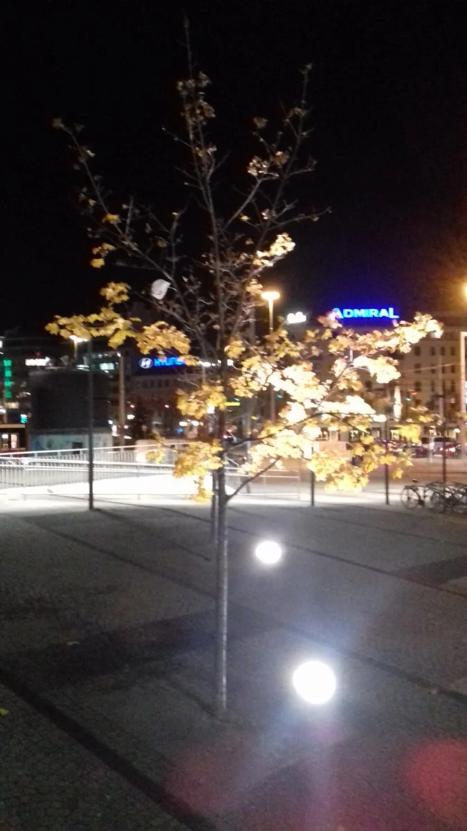 20201118_173032.jpg