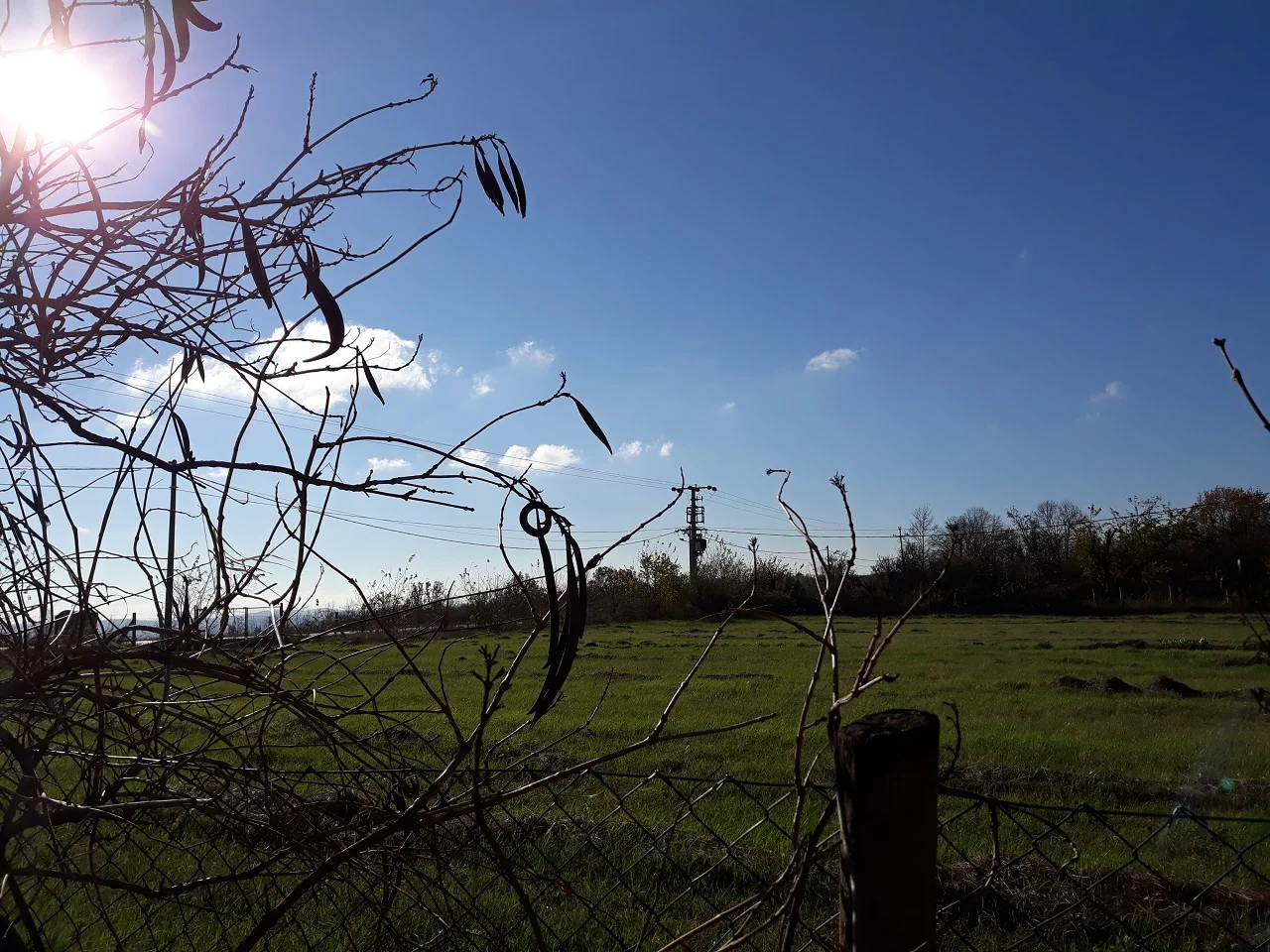 20201119_121223.jpg