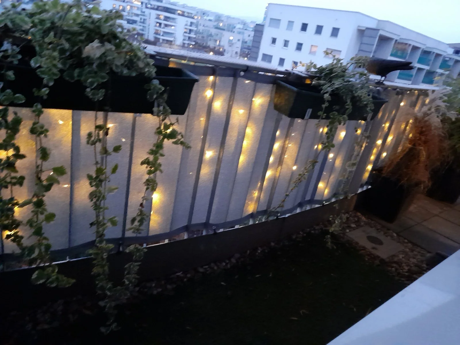 20201125_162813.jpg