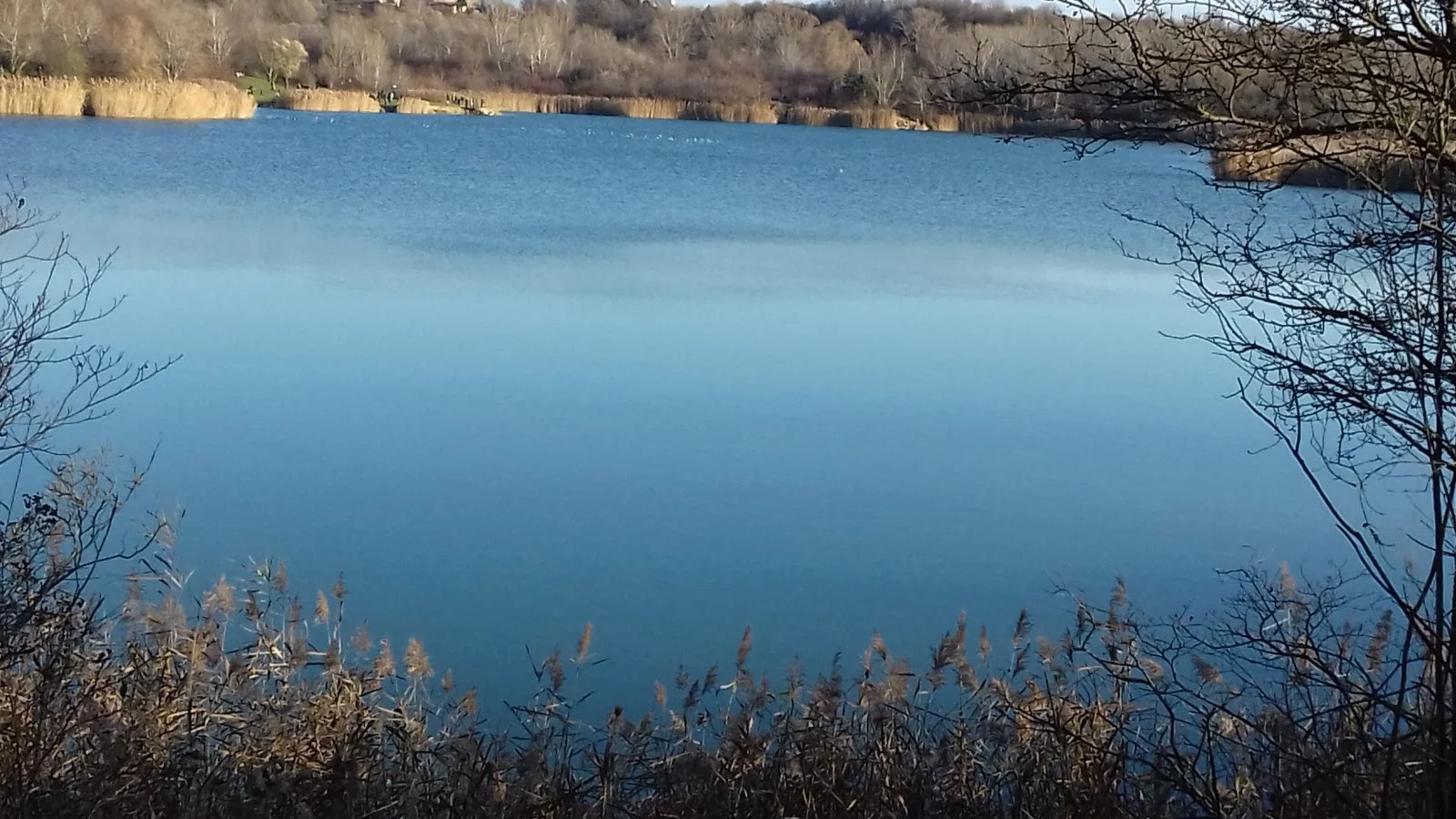 20201129_135540.jpg