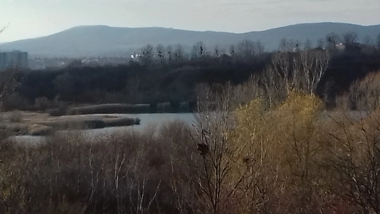 20201129_143202.jpg