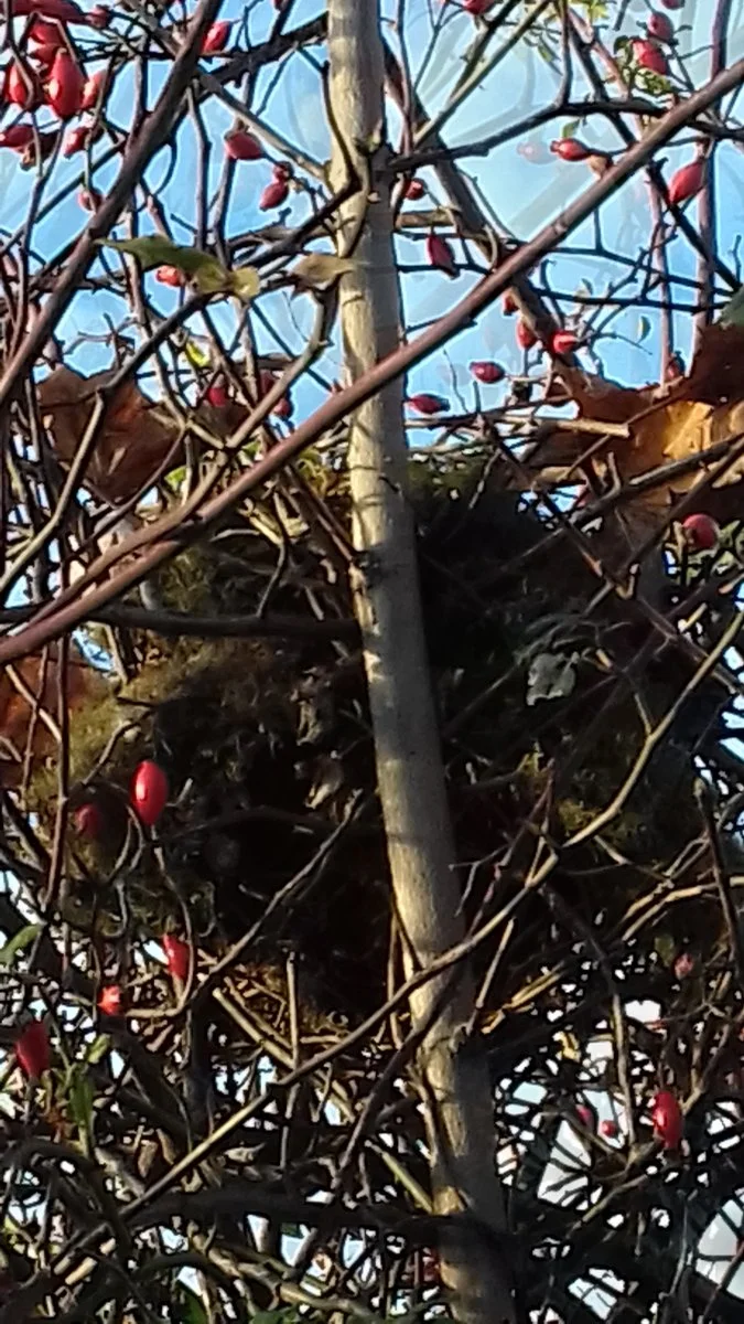 20201129_143759_Richtone(HDR).jpg