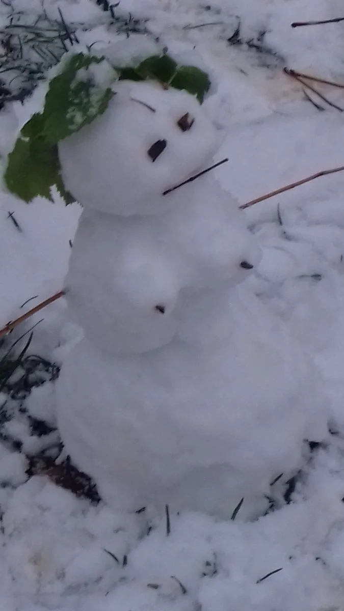20201203_155619.jpg