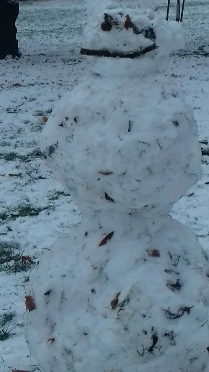 20201203_155653.jpg