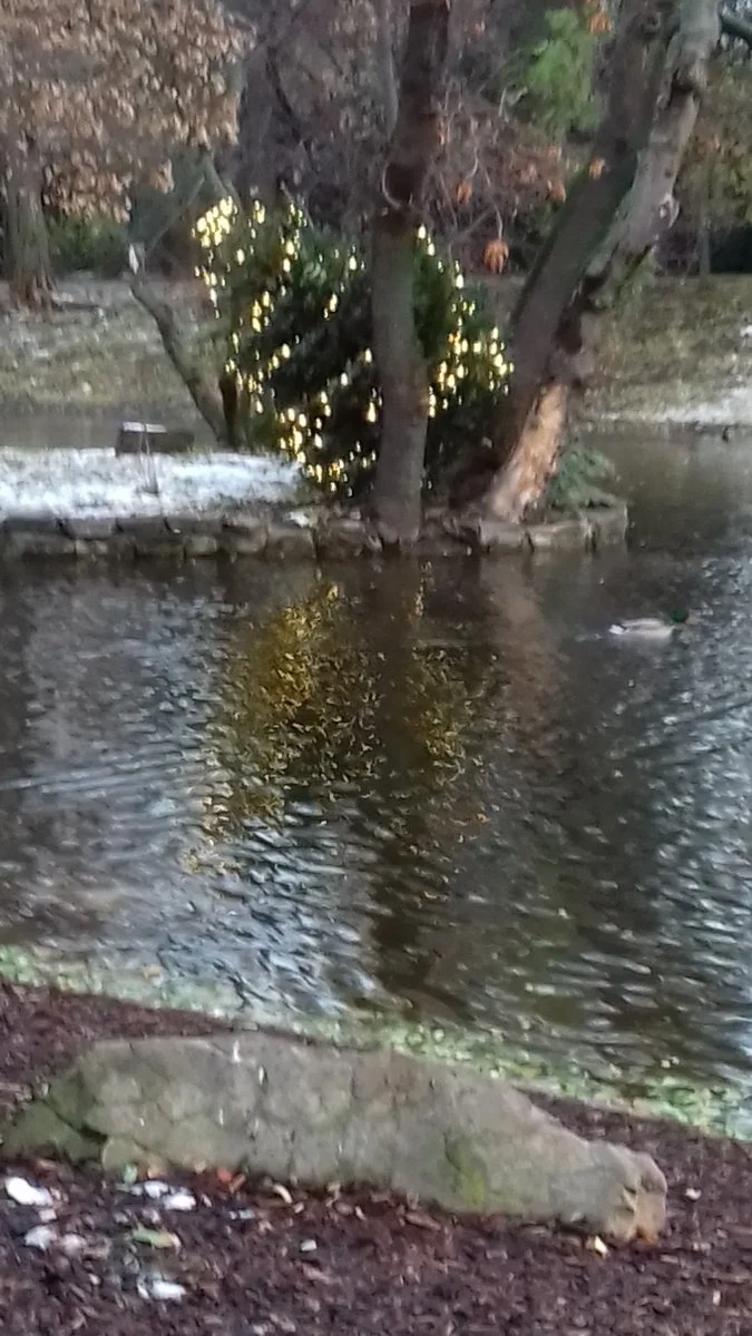 20201204_152042.jpg