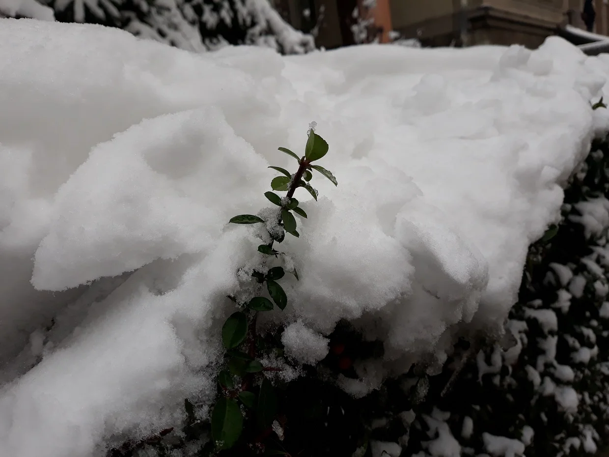 20210112_122751.jpg