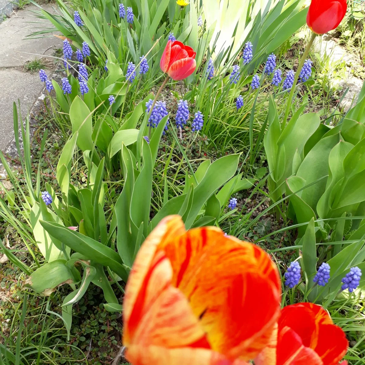 20210422_152208.jpg