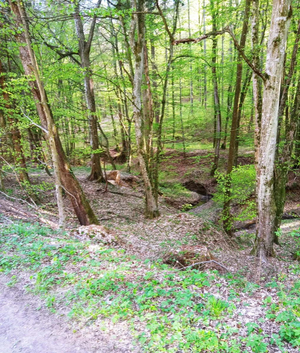 20210424_165539 (2).jpg