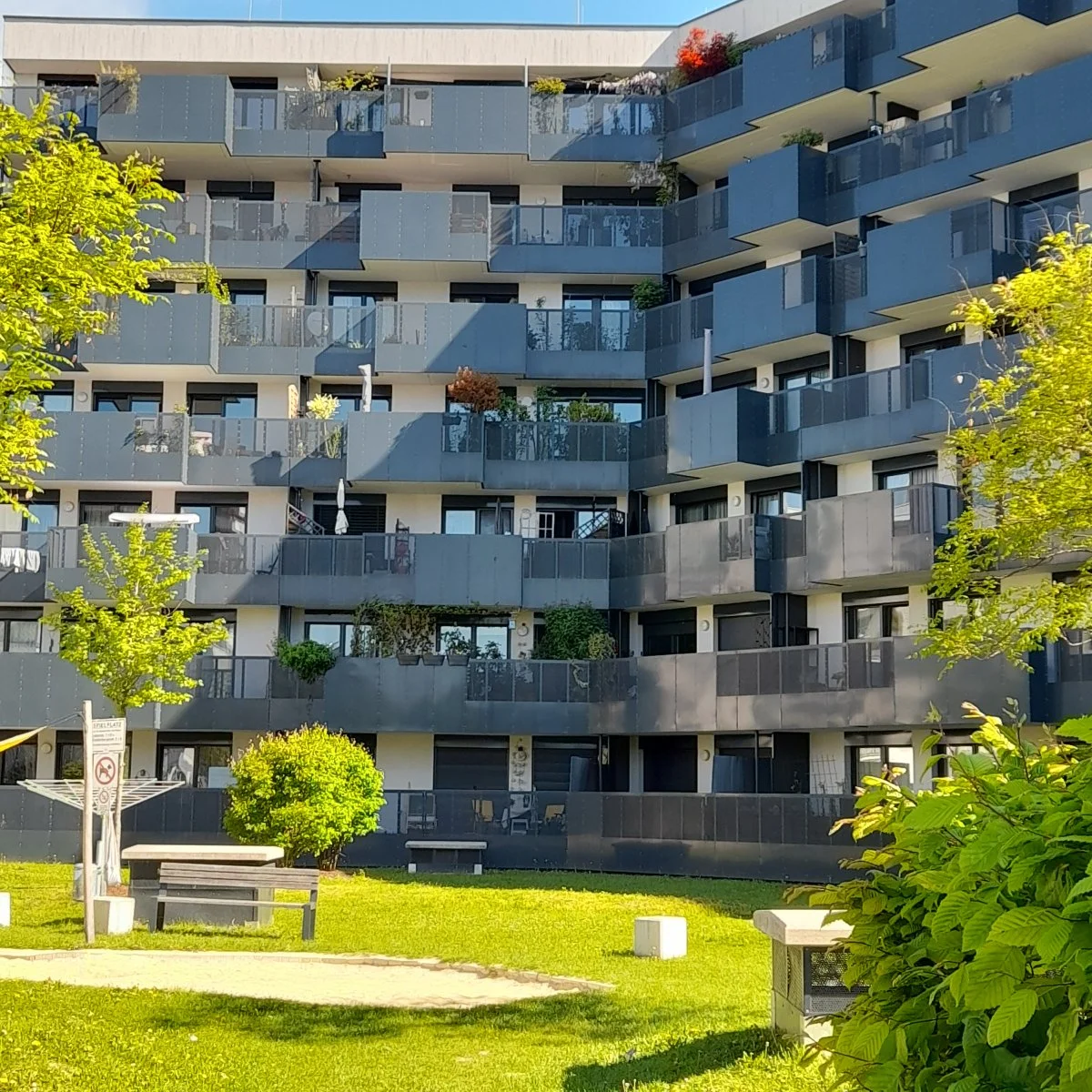 20210510_093809.jpg
