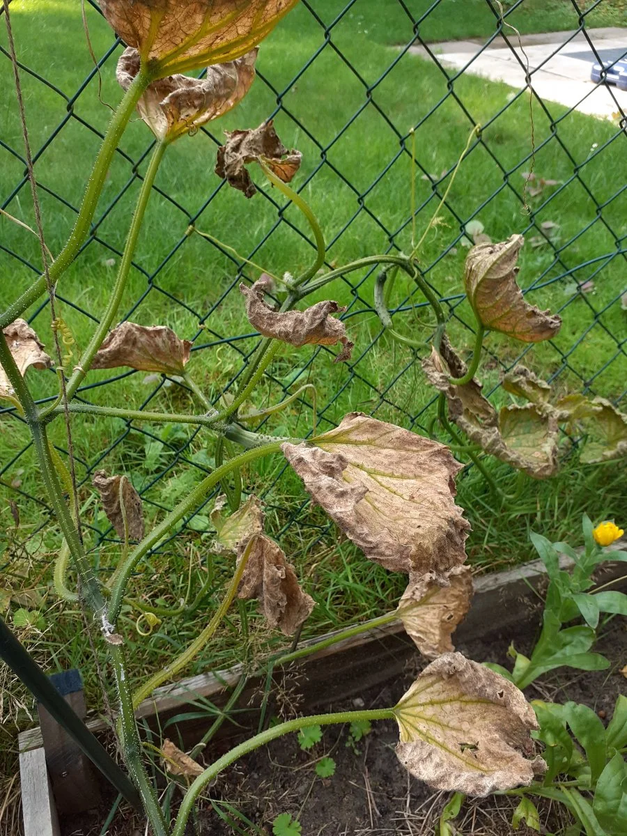 20210830_170544.jpg