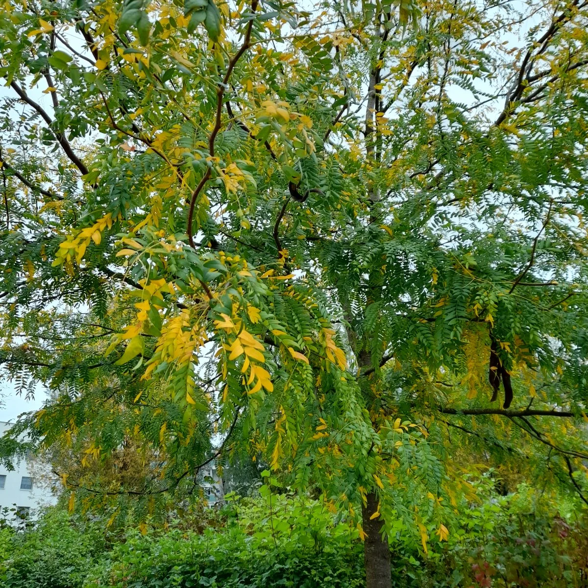 20210921_100752.jpg