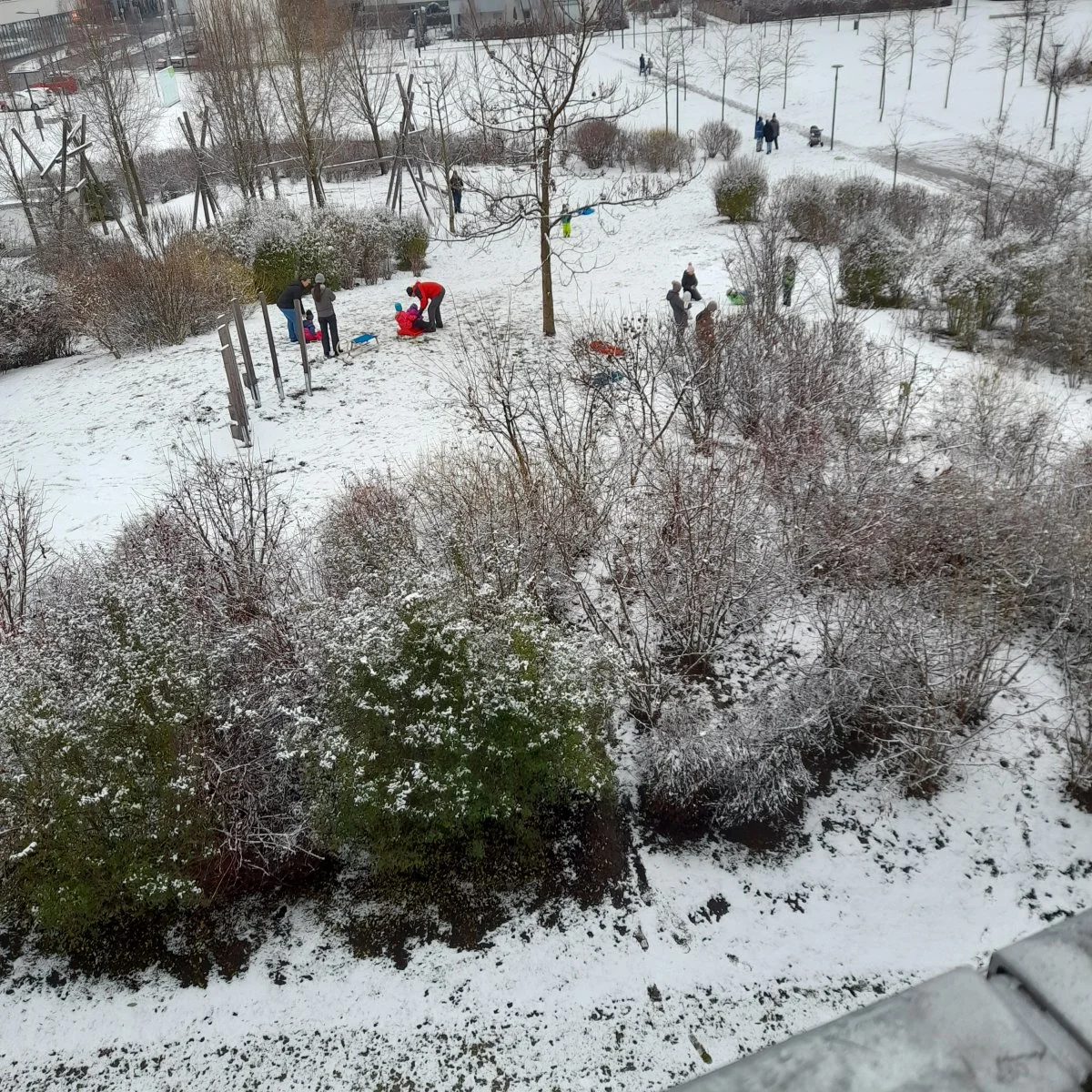 20211211_095356.jpg