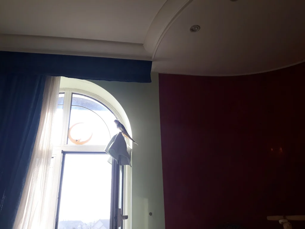 20220101_120037.jpg