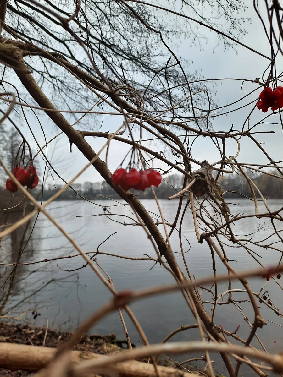20220116_154256.jpg