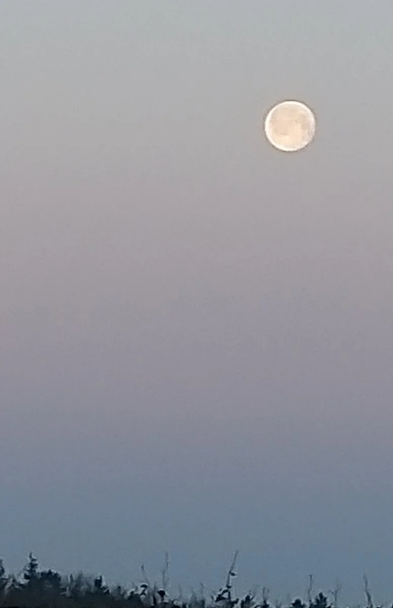 20220319_065711.jpg