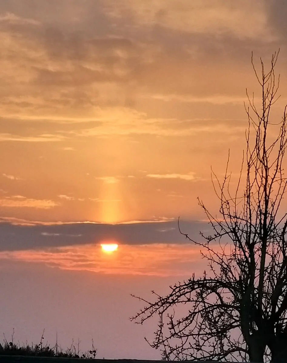 20220320_184946.jpg