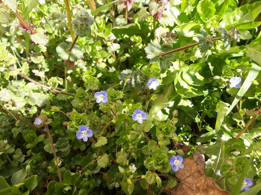20220322_130417.jpg