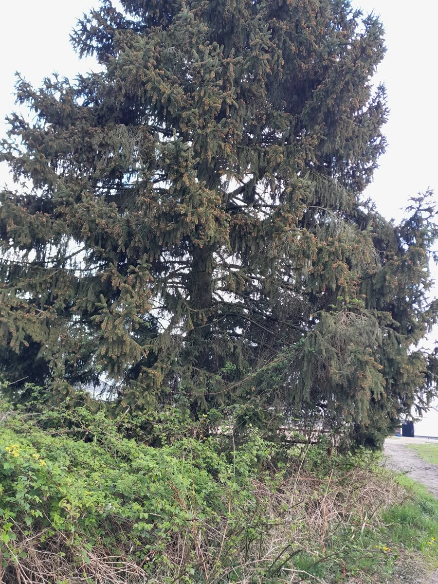 20220414_120115.jpg
