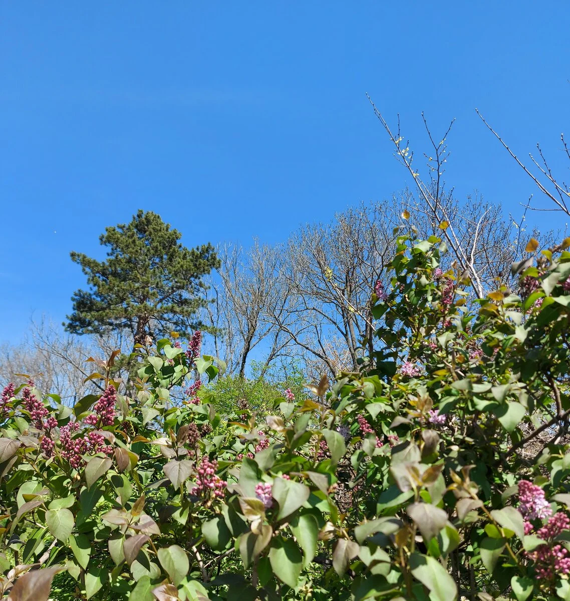 20220414_131234.jpg