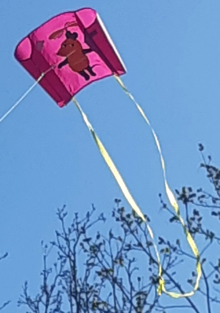 20220425_001306.jpg