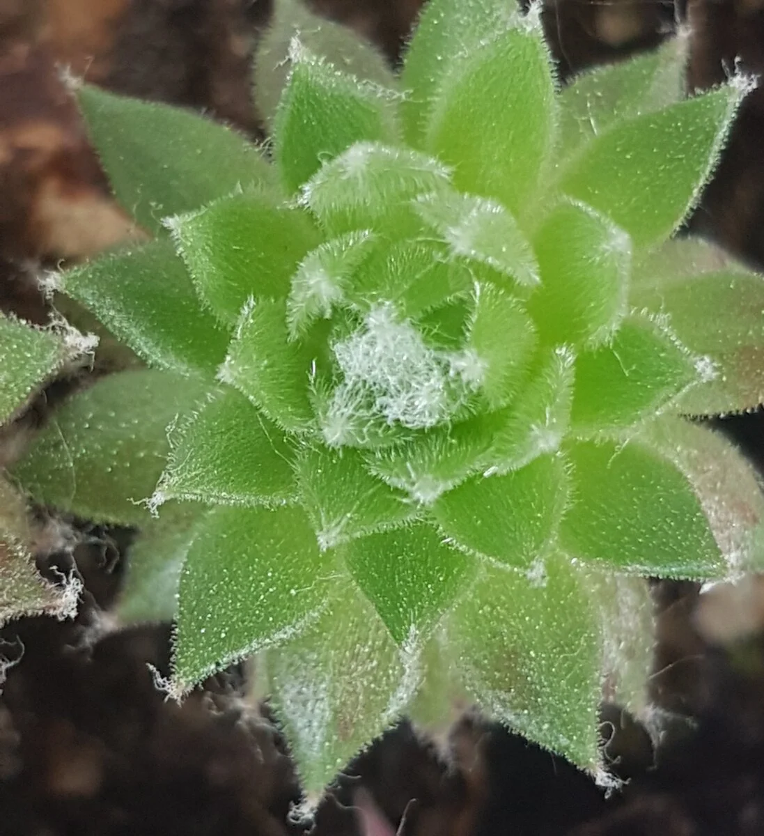 20220503_094741.jpg