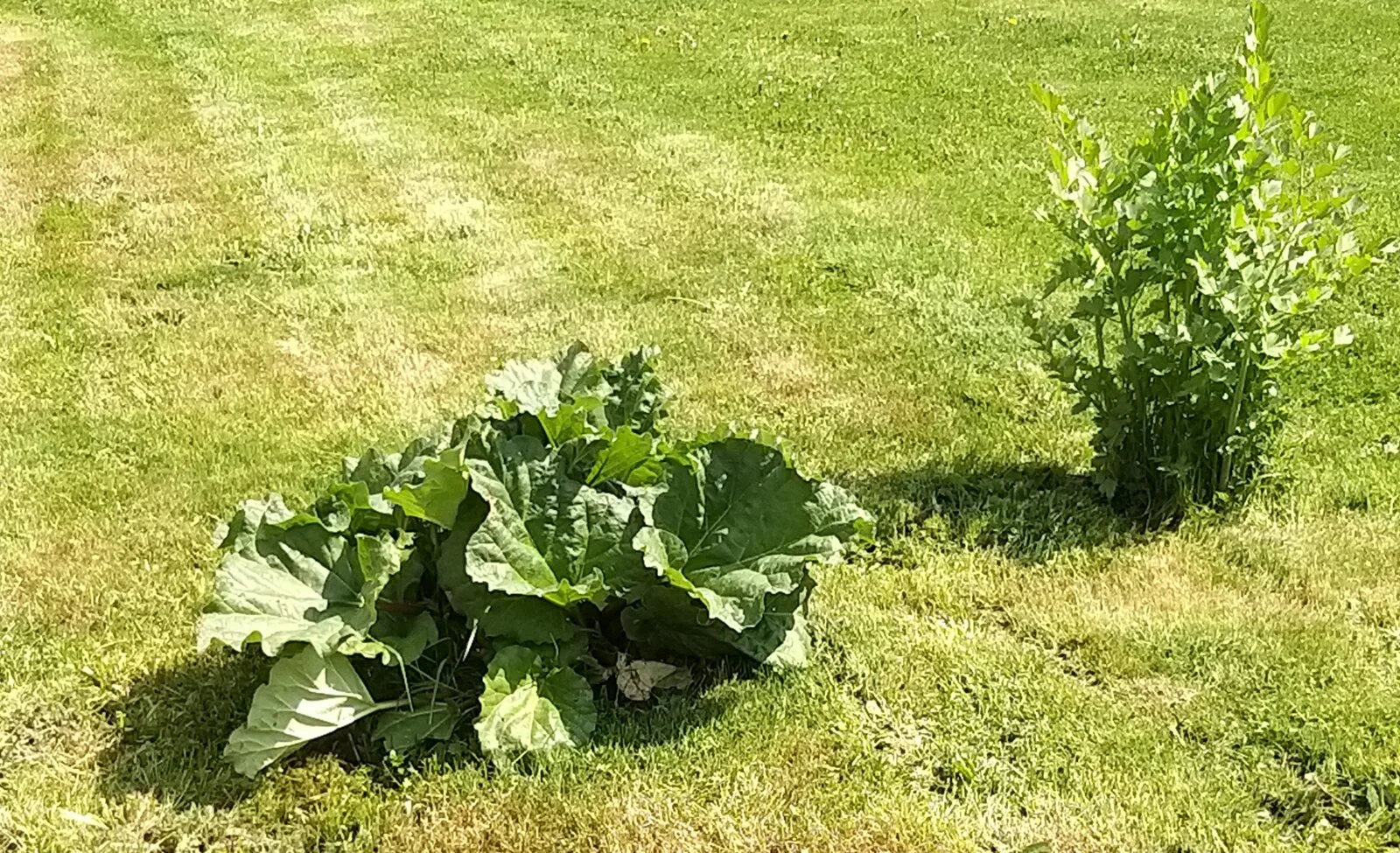 20220508_123123.jpg
