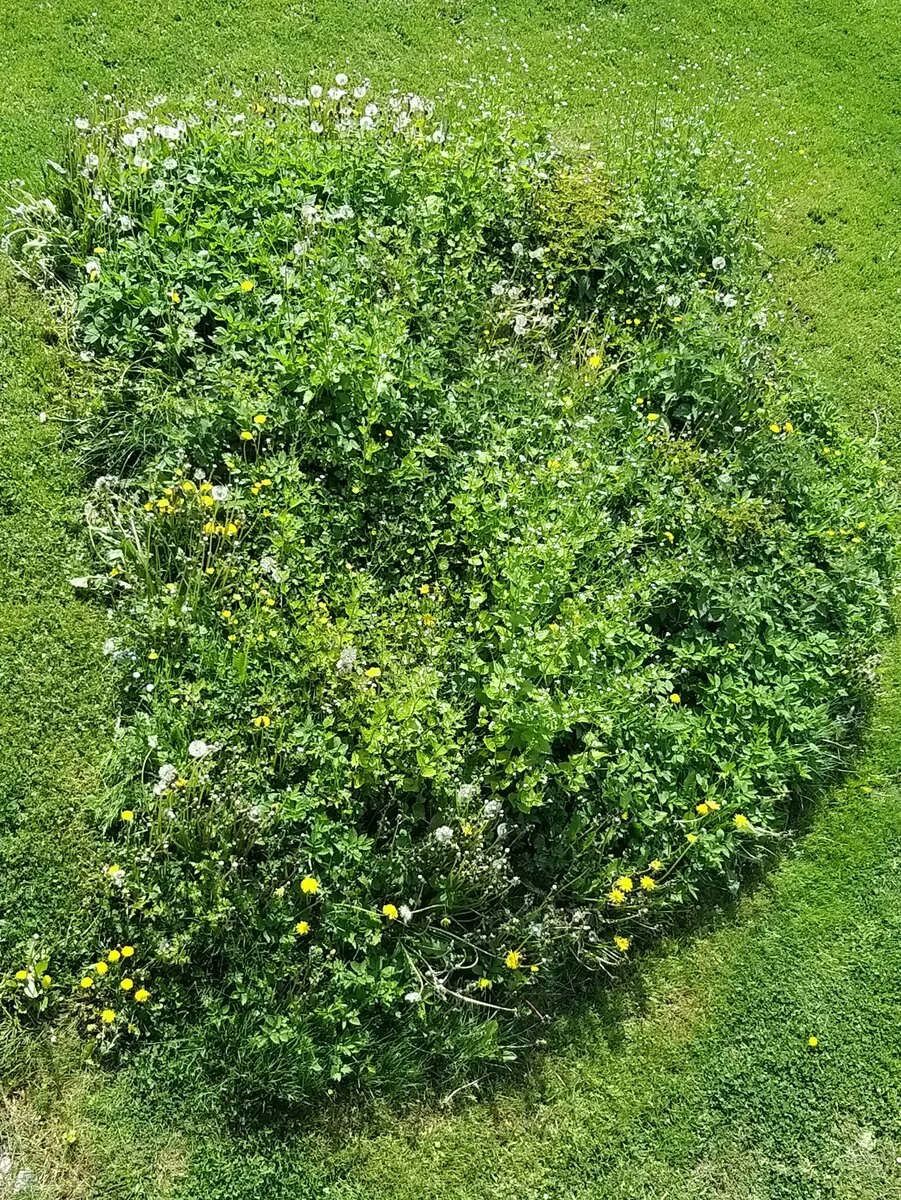 20220508_123625.jpg