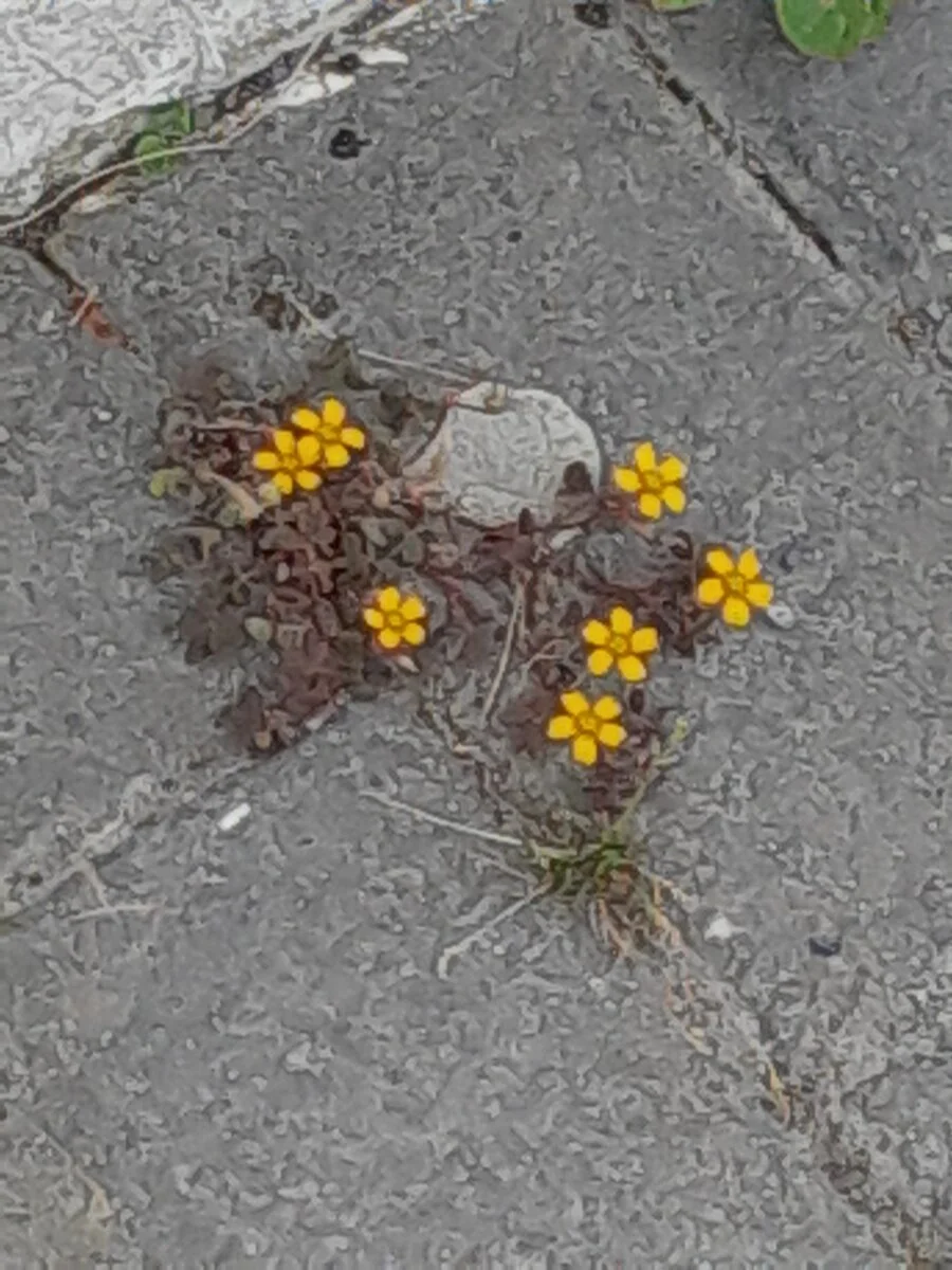 20220512_124721.jpg