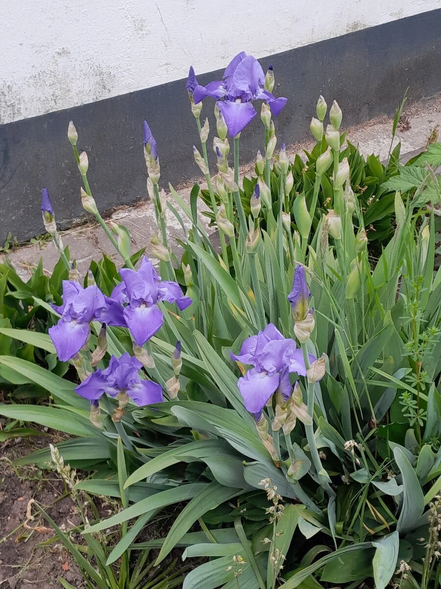 20220513_090818.jpg