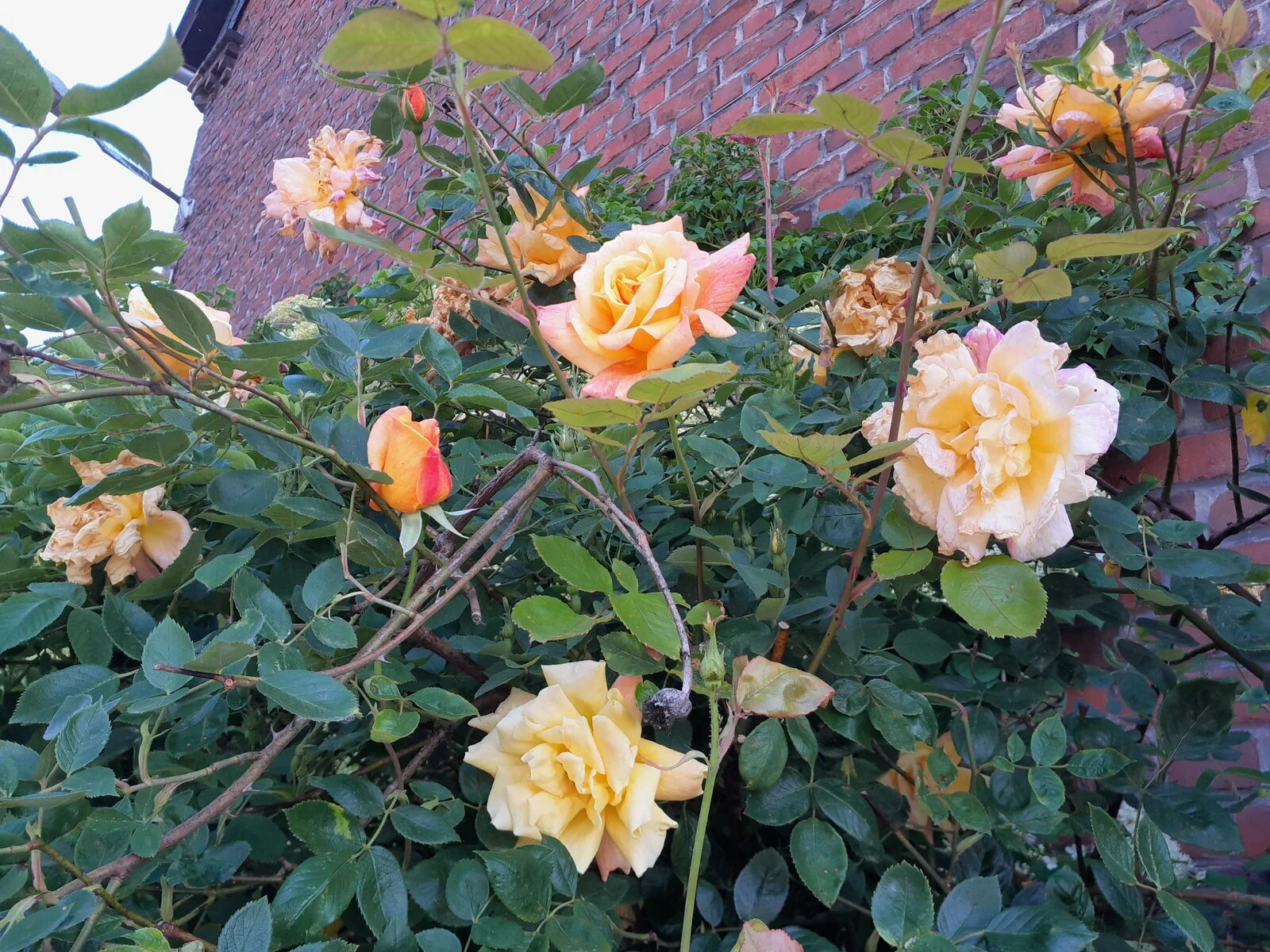 20220515_093714.jpg