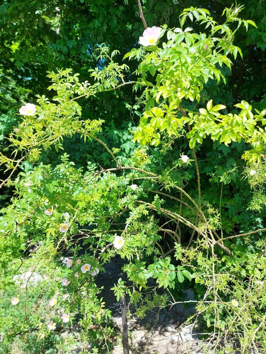 20220522_144643.jpg