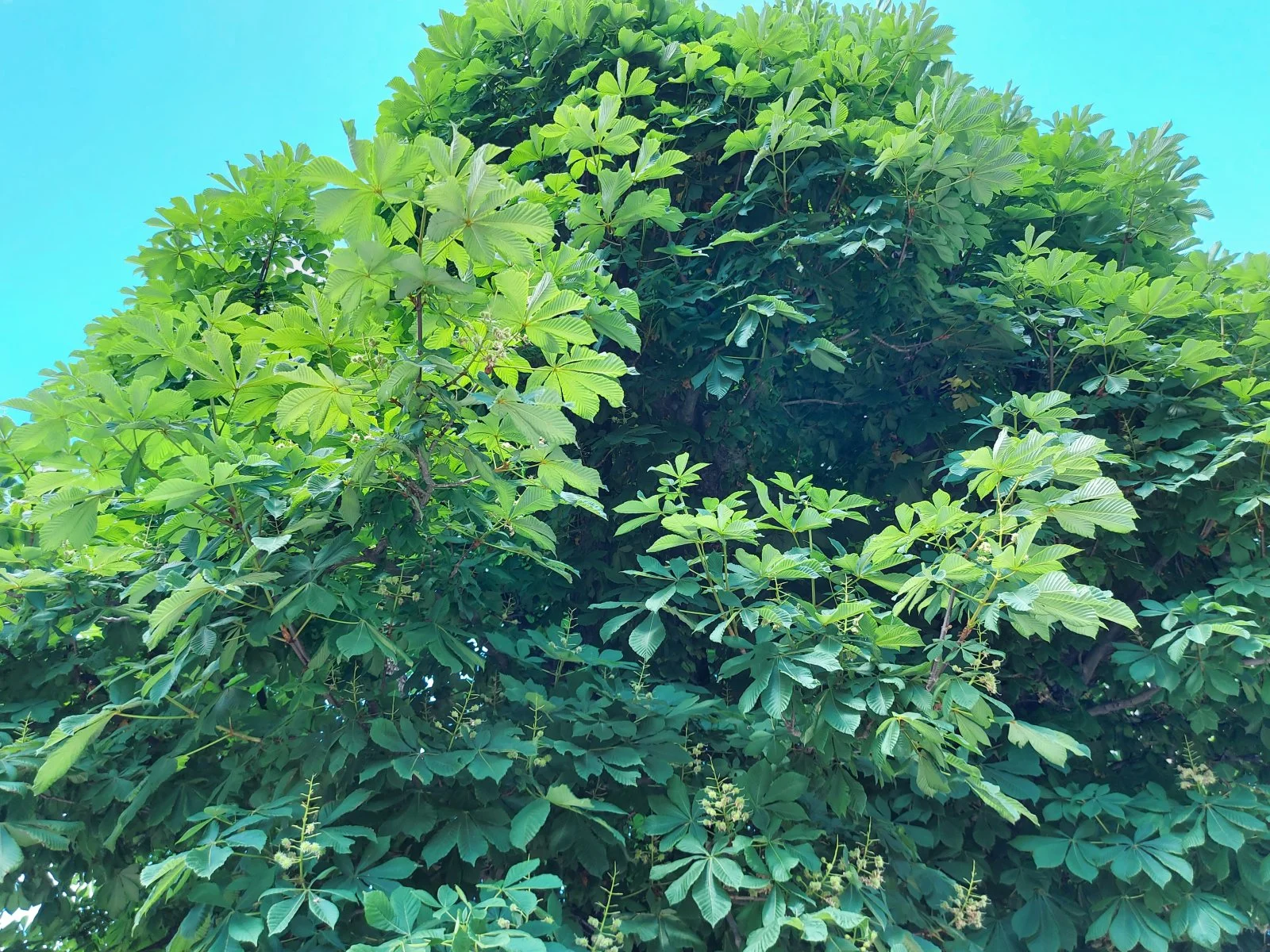 20220522_151836.jpg
