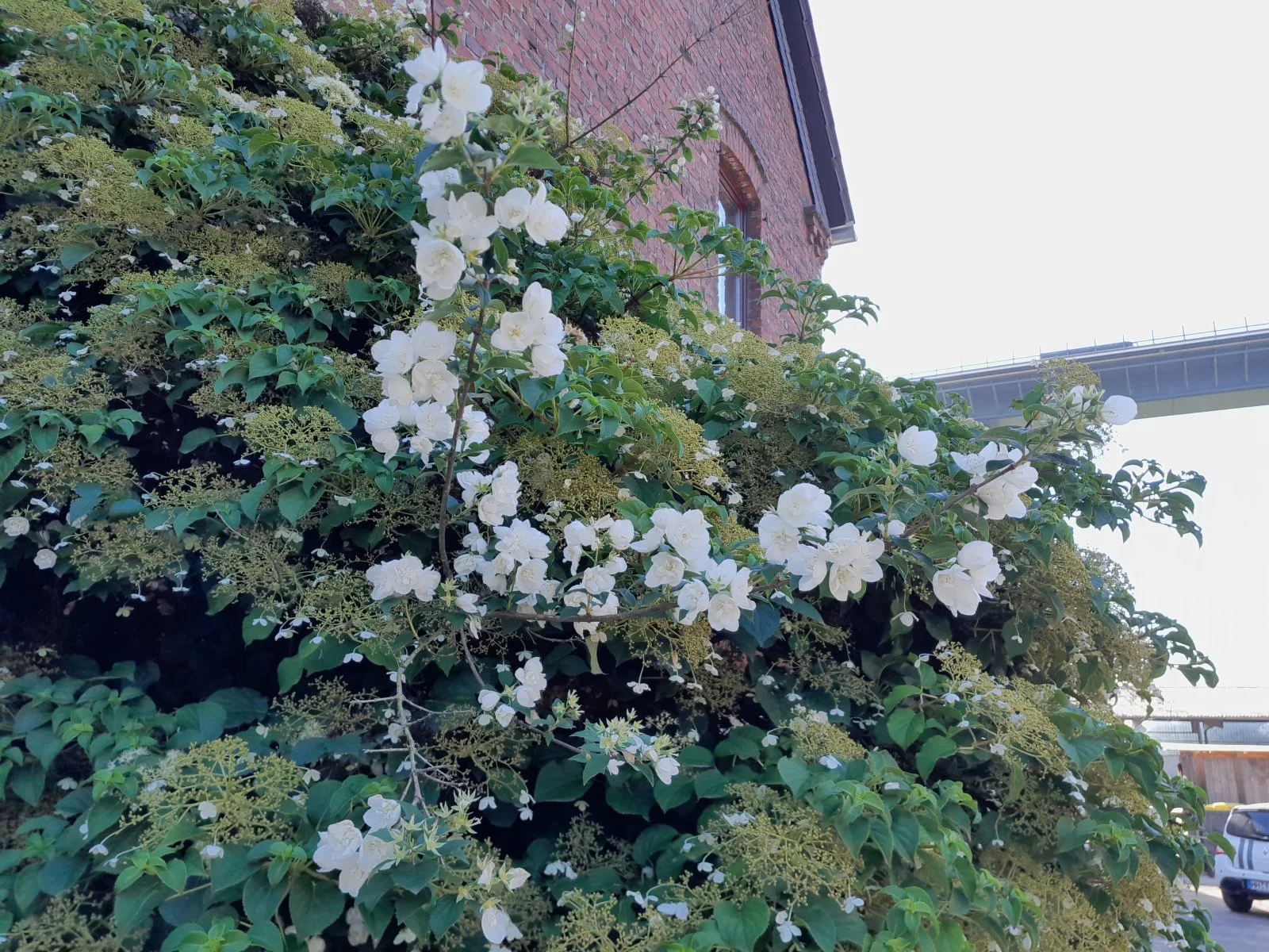 20220612_092722.jpg