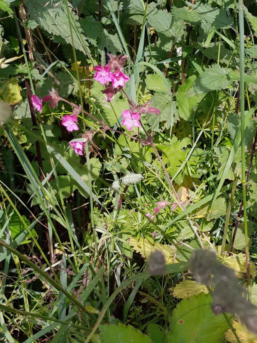 20220614_092742.jpg