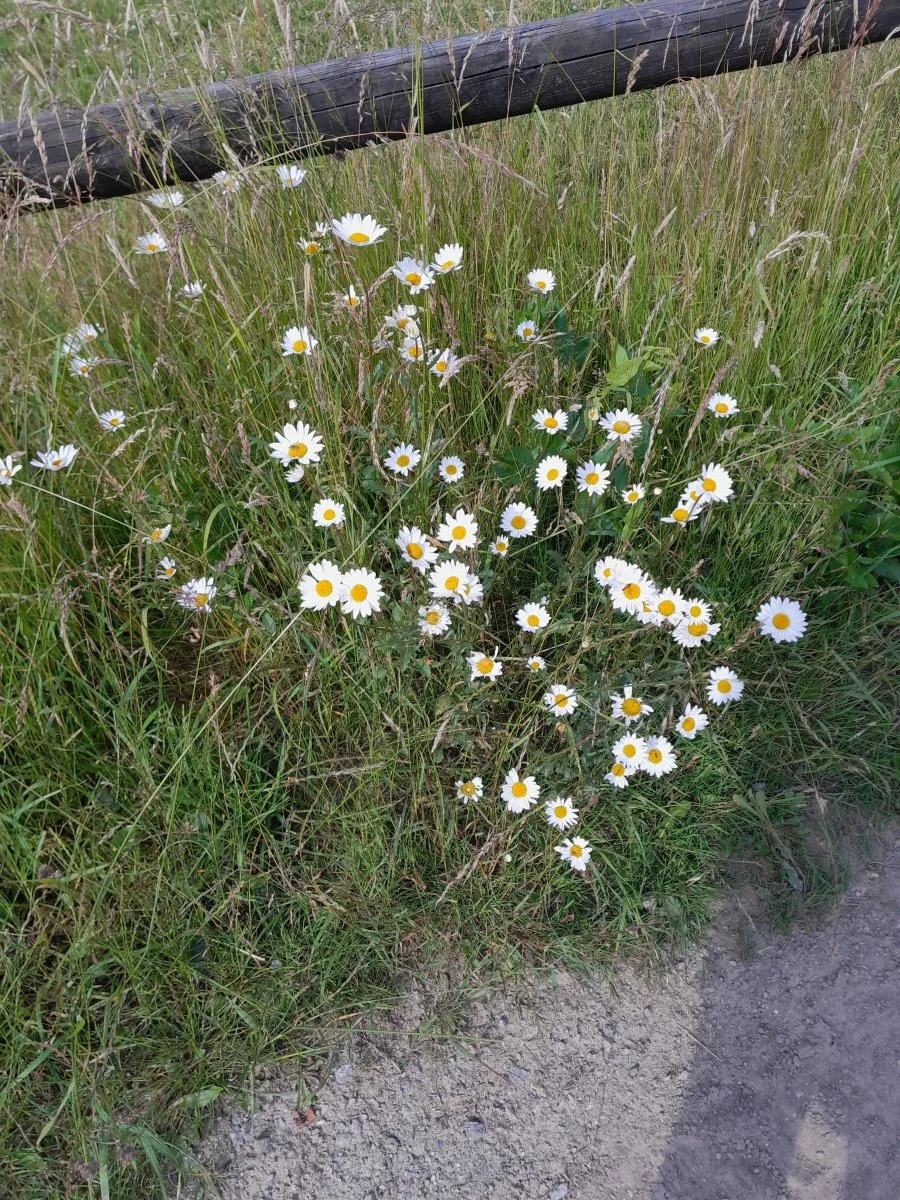 20220614_095017.jpg