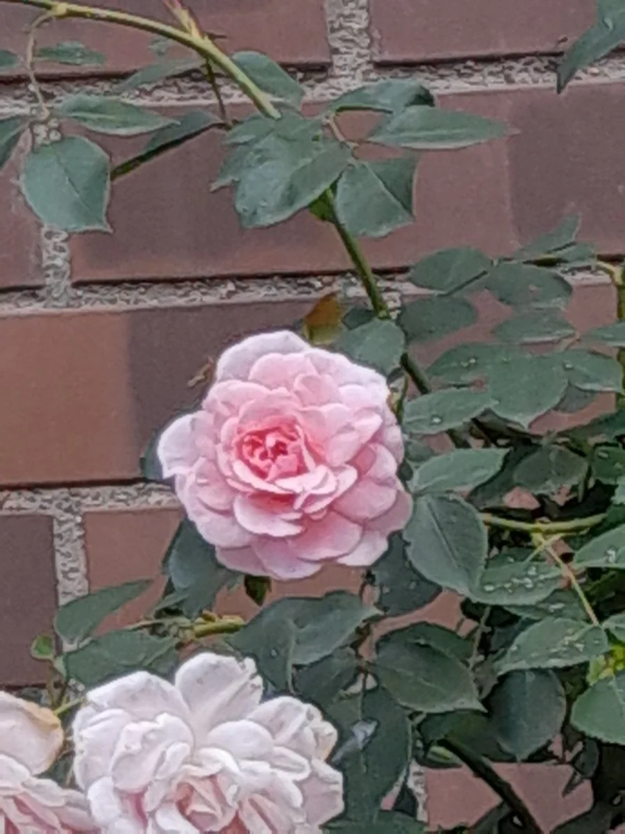 20220620_123934.jpg
