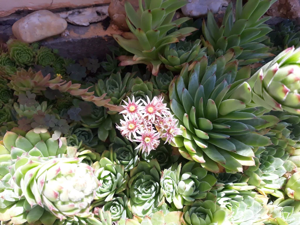 20220628_120434.jpg