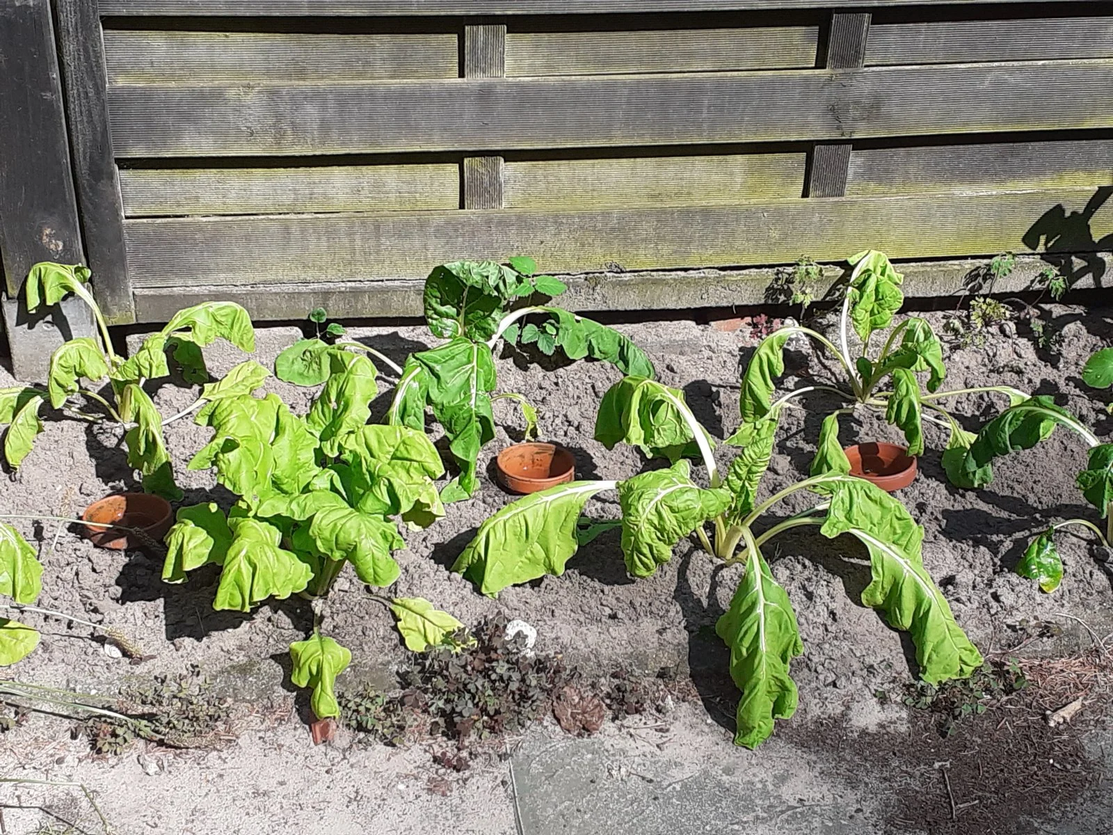 20220713_161229.jpg