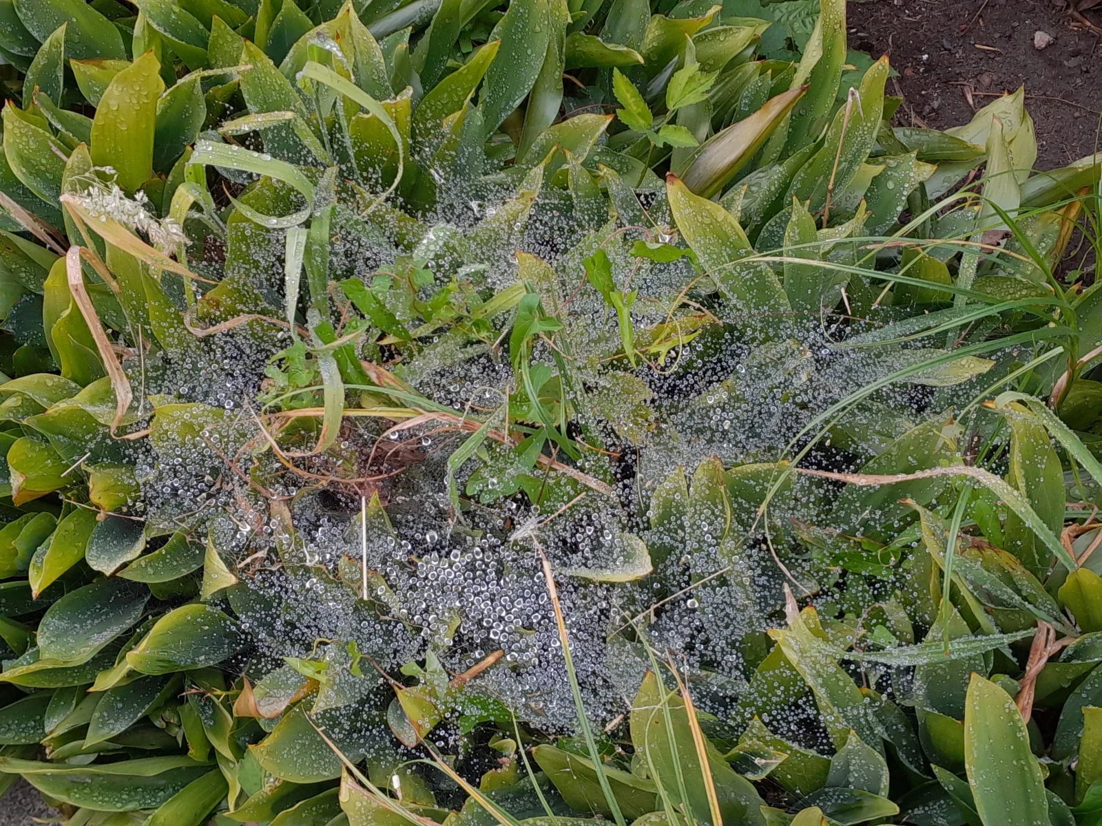 20220722_112428.jpg
