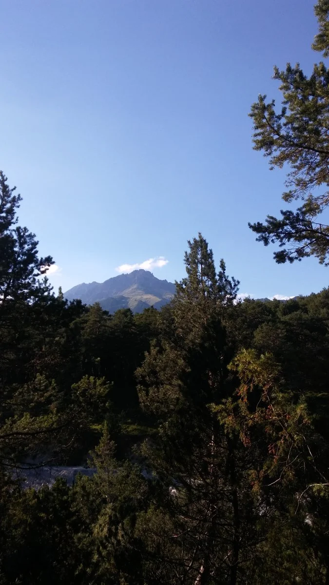 20220803_180625.jpg