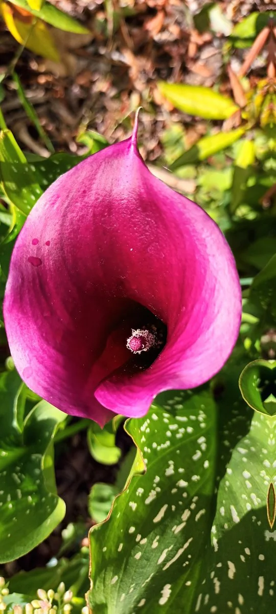 20220822_144219.jpg