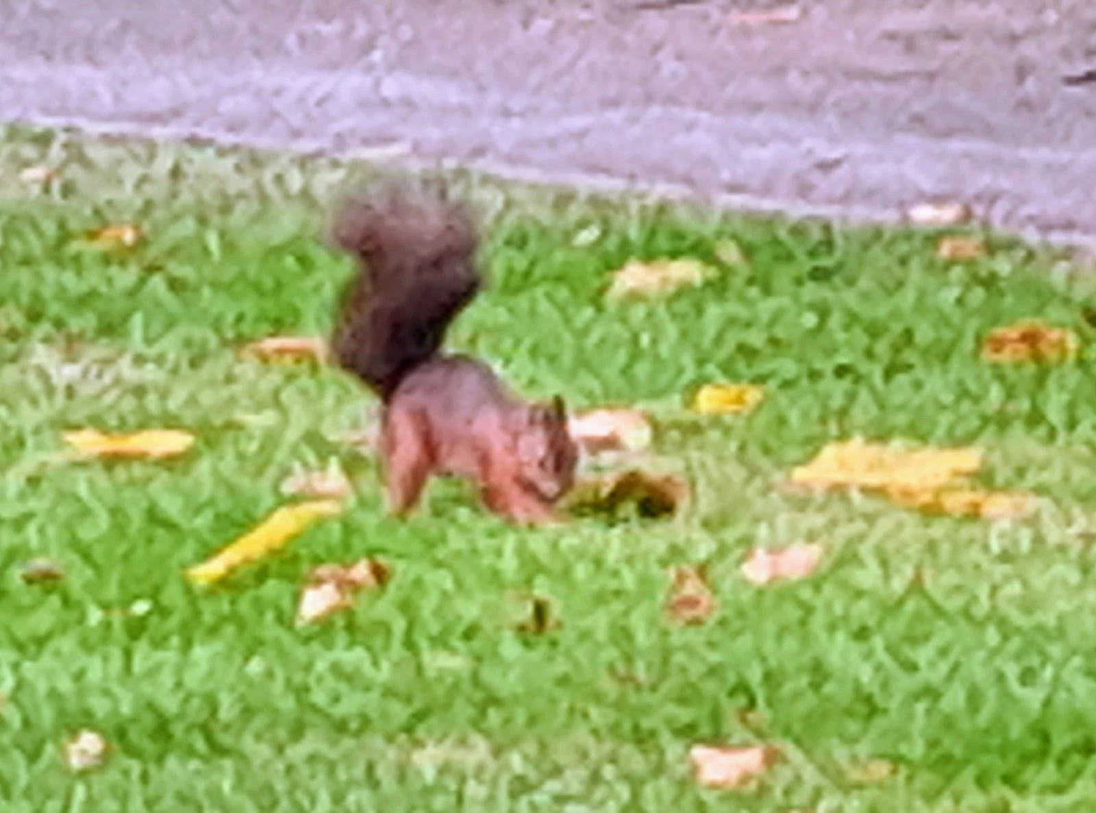 20220921_124159.jpg