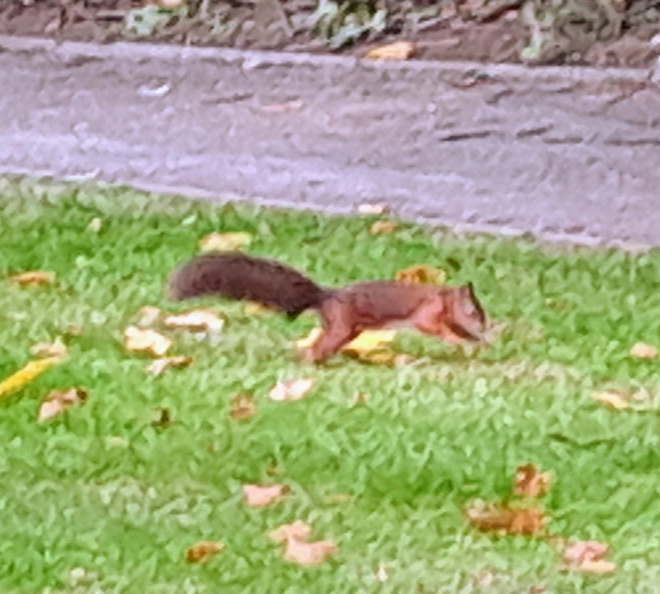 20220921_124202.jpg