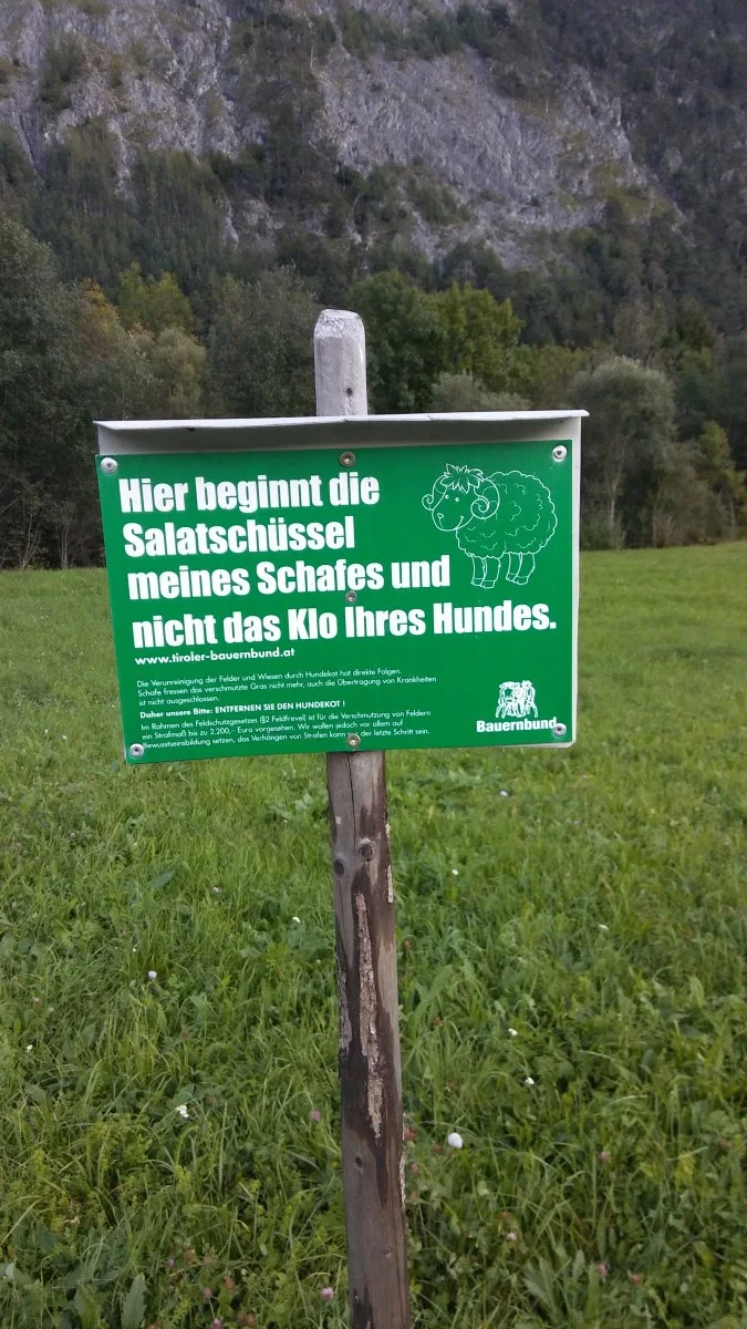 20220922_180530.jpg