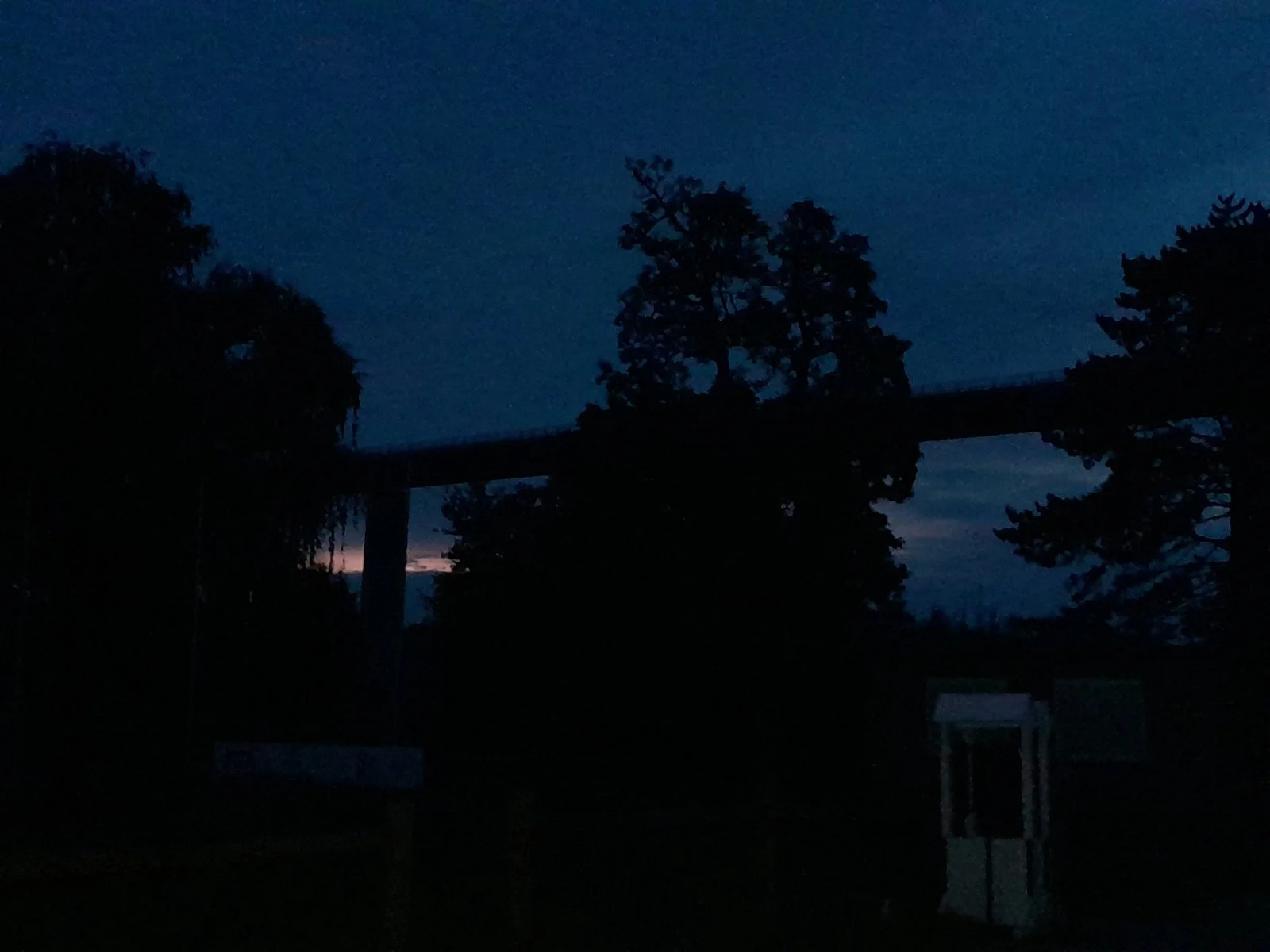 20220924_064716.jpg