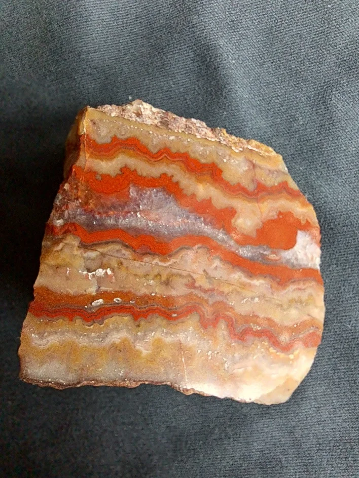 20221001_105333.jpg